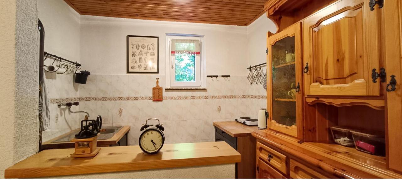 Villa Koca Kresnica à Ilirska Bistrica Extérieur photo