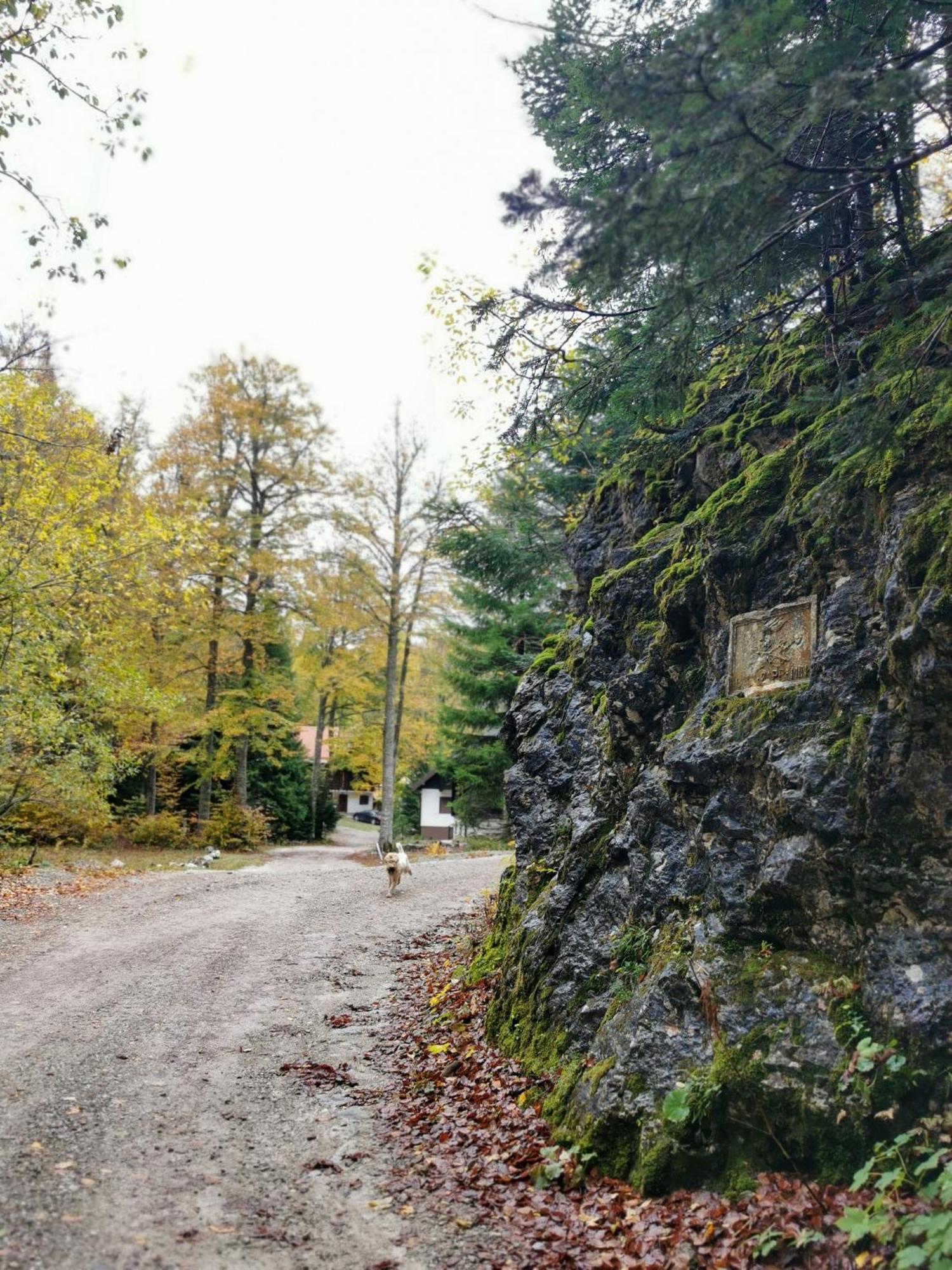 Villa Koca Kresnica à Ilirska Bistrica Extérieur photo